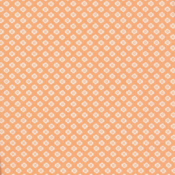 Meadow Lane C10124-MELON by Riley Blake Designs