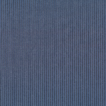 Camilla 52342-3 Navy by Whistler Studios for Windham Fabrics