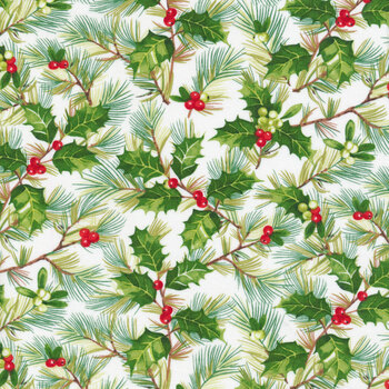 Here Comes Santa 24070-10 by Northcott Fabrics