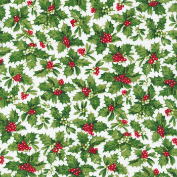 Here Comes Santa 24071-10 by Northcott Fabrics
