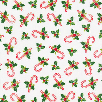 Here Comes Santa 24072-10 by Northcott Fabrics