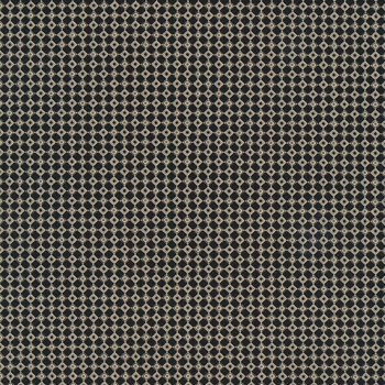 Christmas at Buttermilk Acres C10908-BLACK Checkers Black by Riley Blake Designs