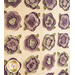 Cream quilt with flowers made of layered purple and green fabric.