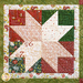 A close-up block of a star in Christmas fabrics.