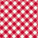 Red and white gingham fabric