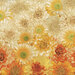 light edge of the ombre flower fabric