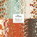 graphic of all fabrics in the shades of autumn 10