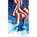 Fabric panel with an american flag and patriotic-colored eagle on it