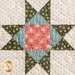 Close up photo of one quilt block showing a lone star block pattern made with teal, black, green, pink and cream floral fabrics from the Primrose collection