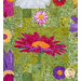 Close up photo of a floral quilt showing applique details of large pink, purple and white daisies with a patchwork green background