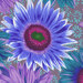 close up of Fabric featuring vibrant blue, teal, and purple sunflowers over a muted purple background