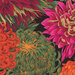 8x8 close-up swatch of black fabric with large green, pink, red, and orange chrysanthemum flowers 