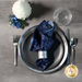 A top down shot of a place setting with the starry fabric of the reversible napkin faced out.