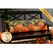 The completed Pumpkin Patch Pillow in flannel and cotton fabric, staged on a black bench surrounded by autumn leaves and decorations.