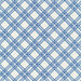 Blue and white diagonal plaid | Shabby Fabrics