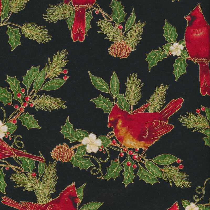 Cardinals and evergreen leaves on a black background