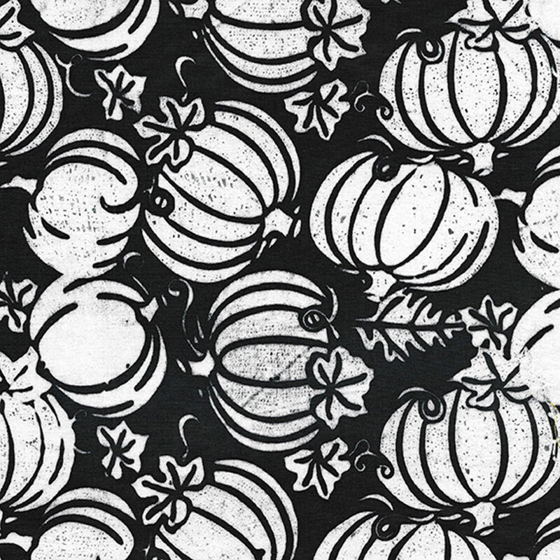 Tossed white pumpkins on a black background