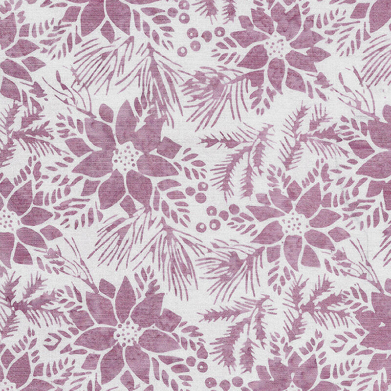 Pale purple poinsettias on a dusky white background