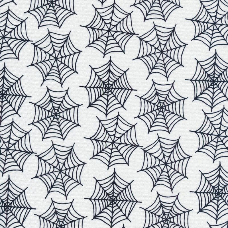 Spiderwebs on a white background