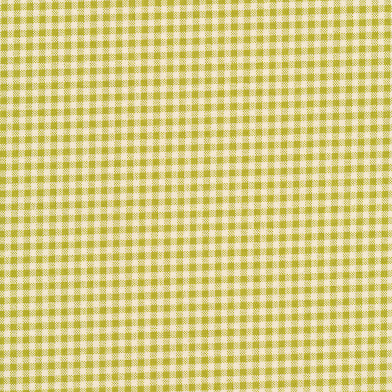 Green and white gingham
