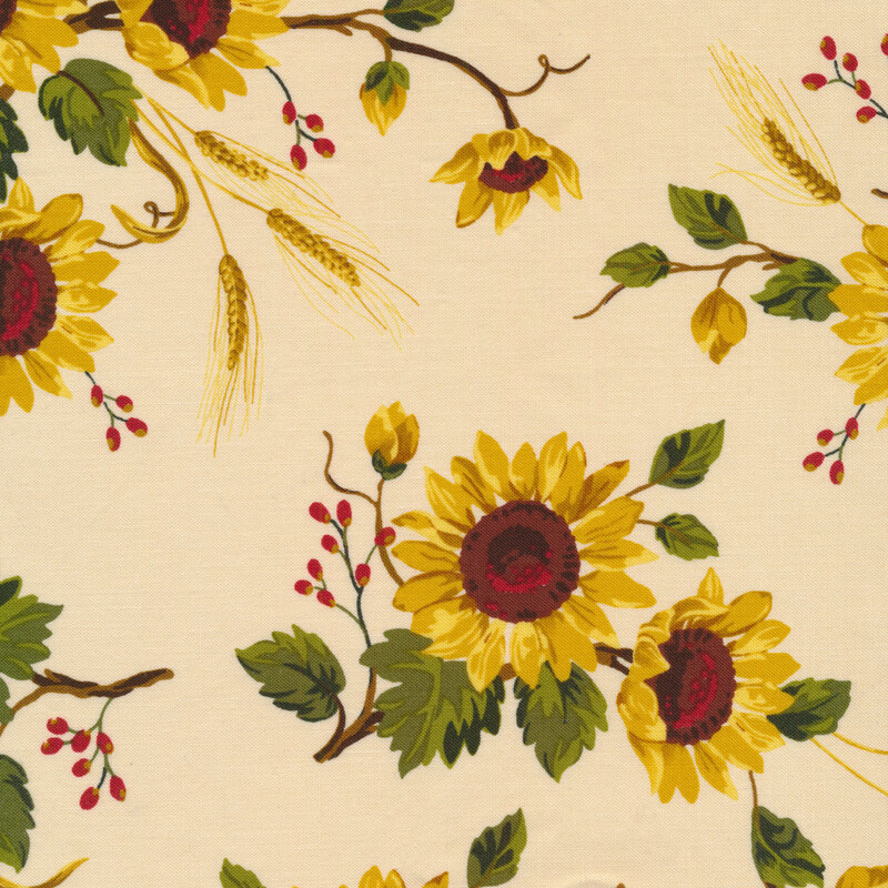 Beautiful sunflowers and wheat on a cream background