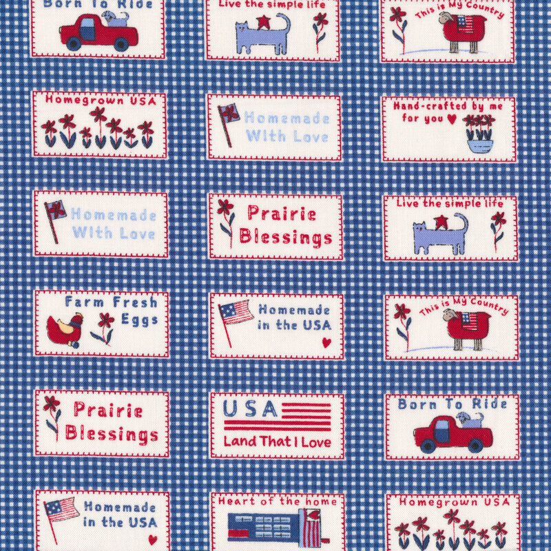 Adorable blue gingham print with small summertime patches