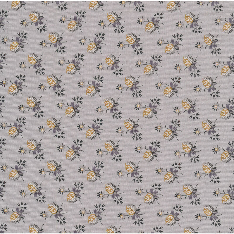 Clover flowers on a cool gray background