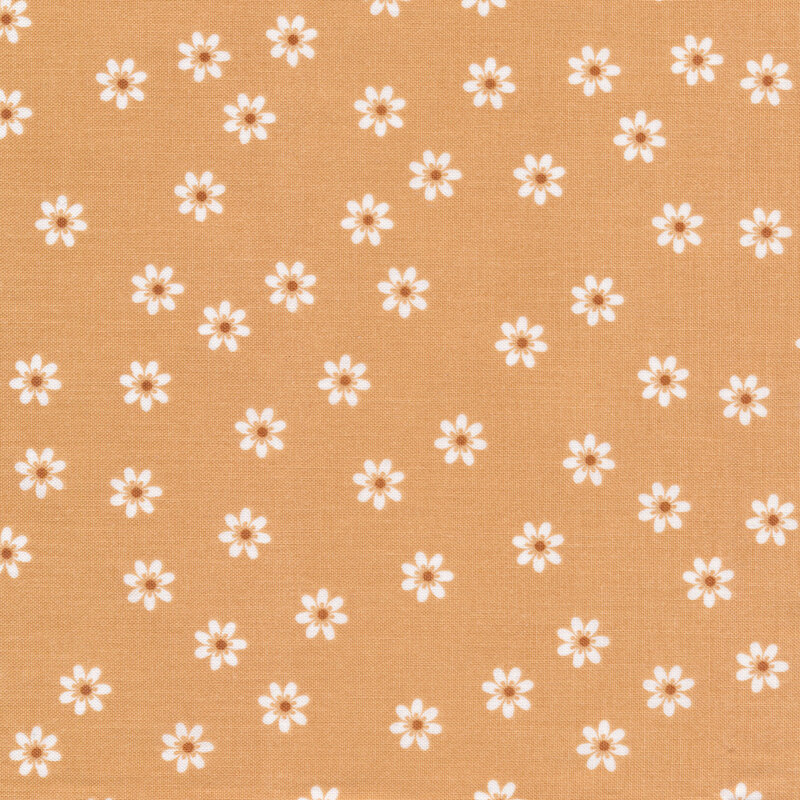 White Flowers on Tan