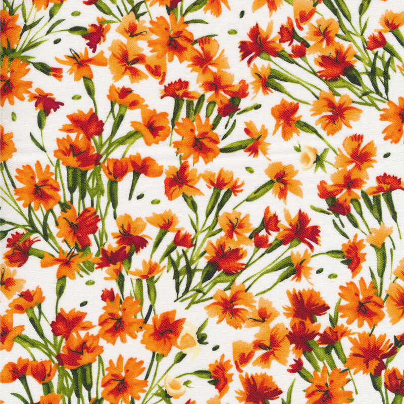 Bright orange flowers with green stems on a white background
