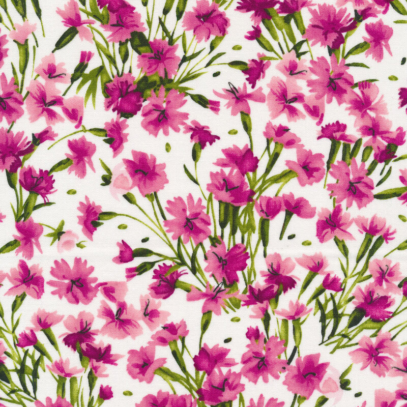 Bright pink flowers with green stems on a white background