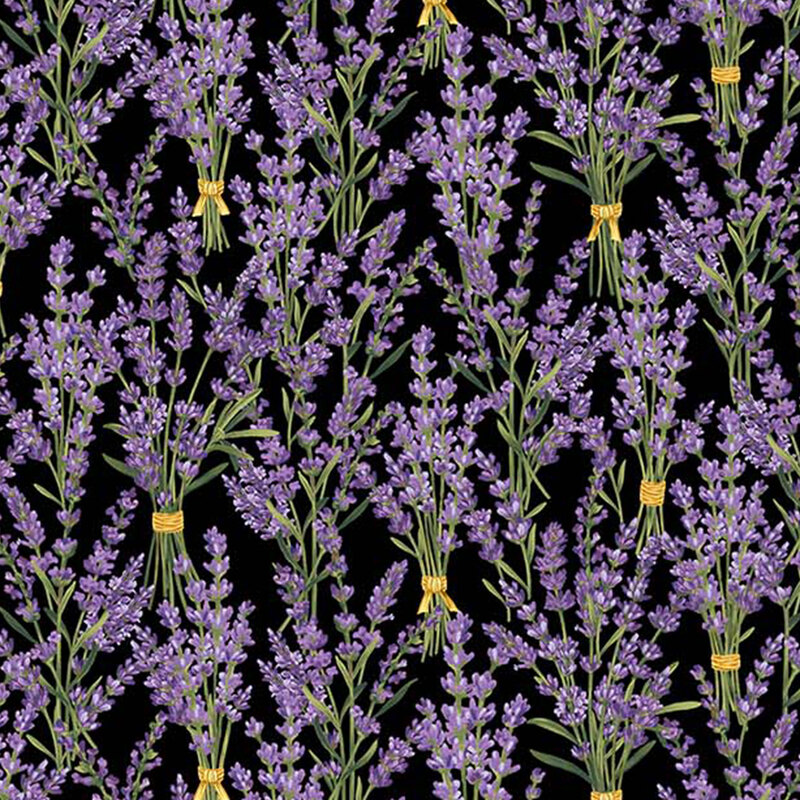 Lavender bouquets on a black background