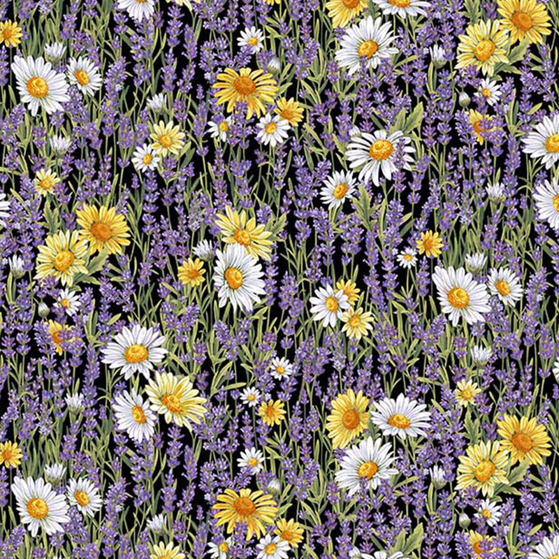 Lavender and daisies on a black background