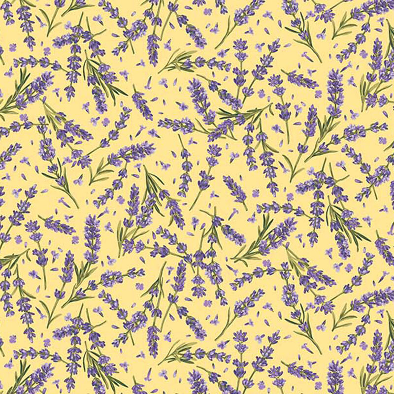 Tossed lavender on a yellow background