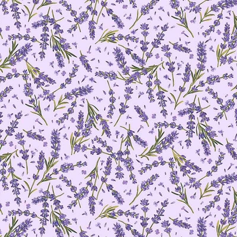 Tossed lavender on a light purple background