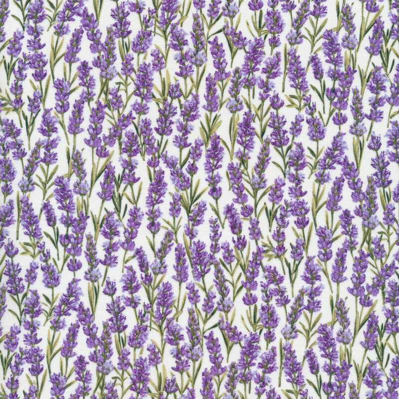 Lavender Market 2447610 by Northcott Fabrics Shabby Fabrics