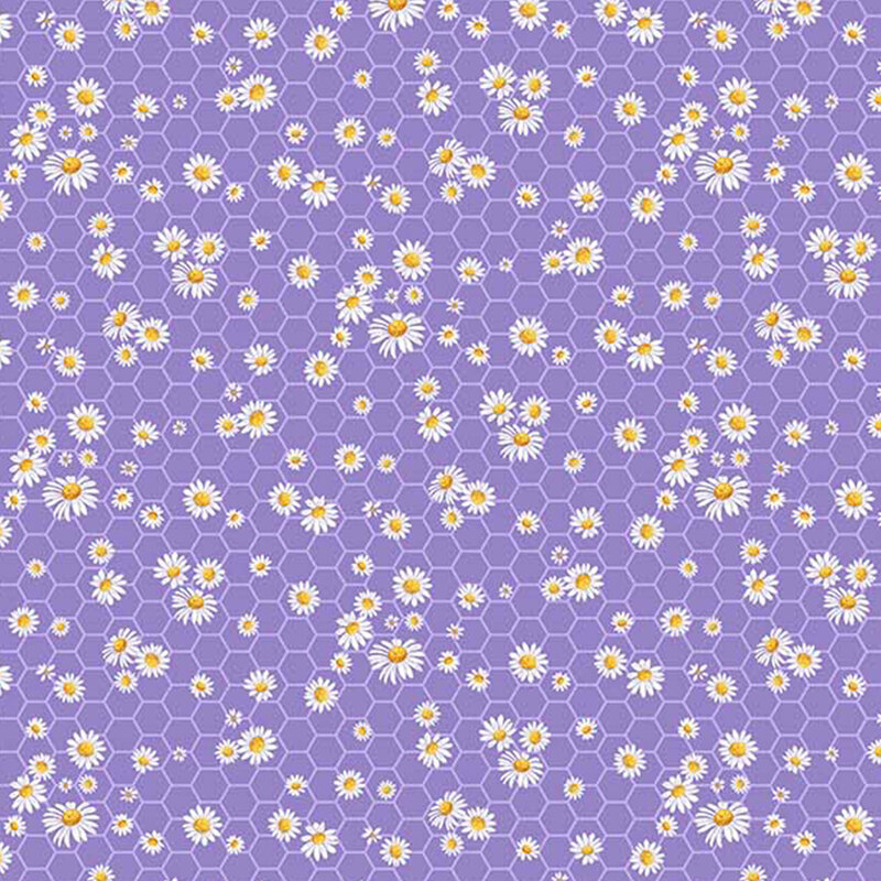 Daisies on a purple honeycomb background
