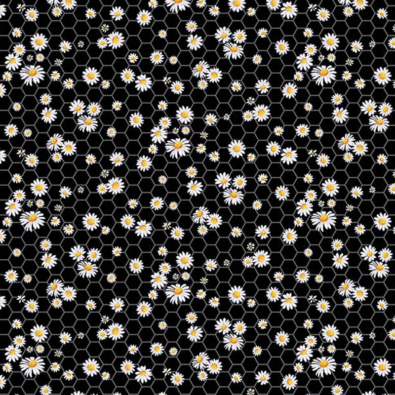 Daisies on a black honeycomb background