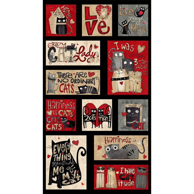 Cats and words in rectangles on a black background