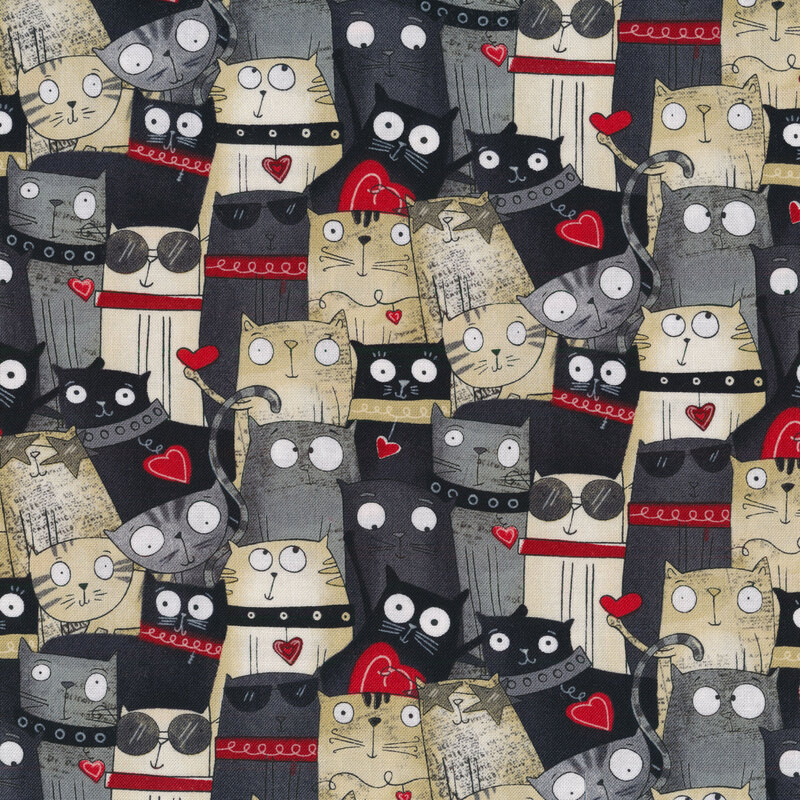 Cats allover on a black background