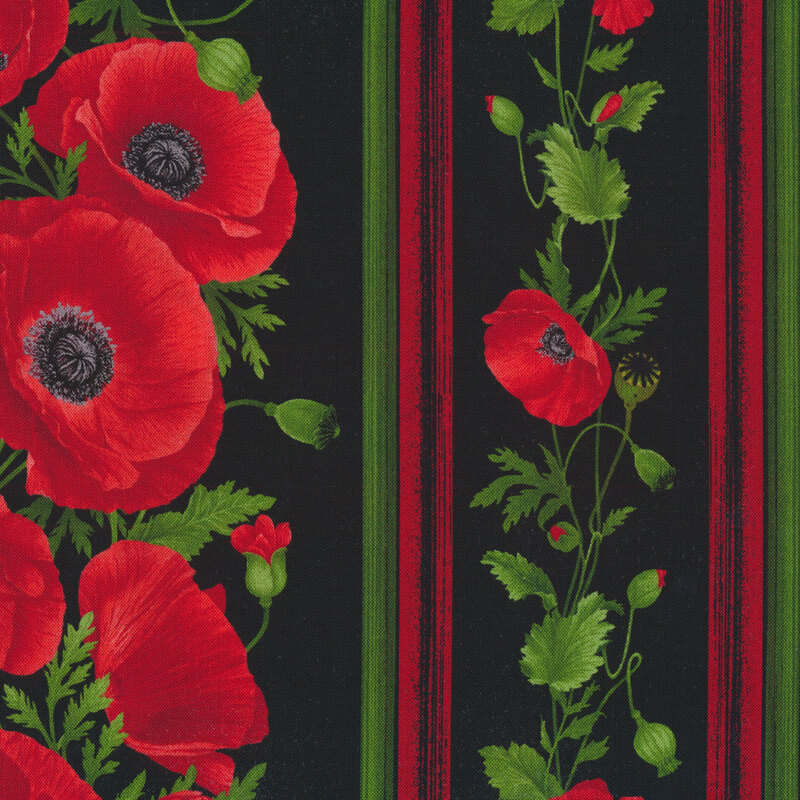 Poppies on a black background and colorful stripes