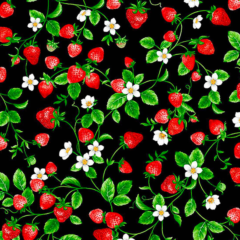 Small strawberry vines and little white flowers on a black background