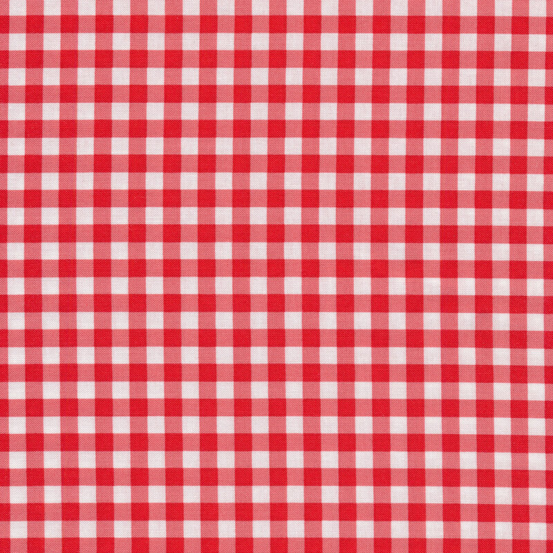 Red and white gingham fabric