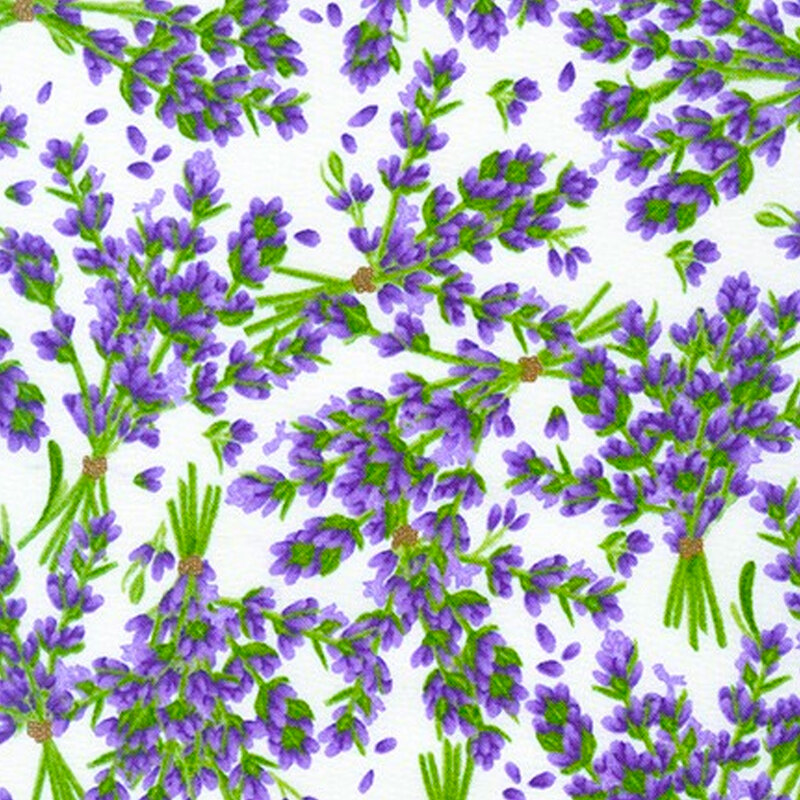 Lavender bunches tossed on a white background