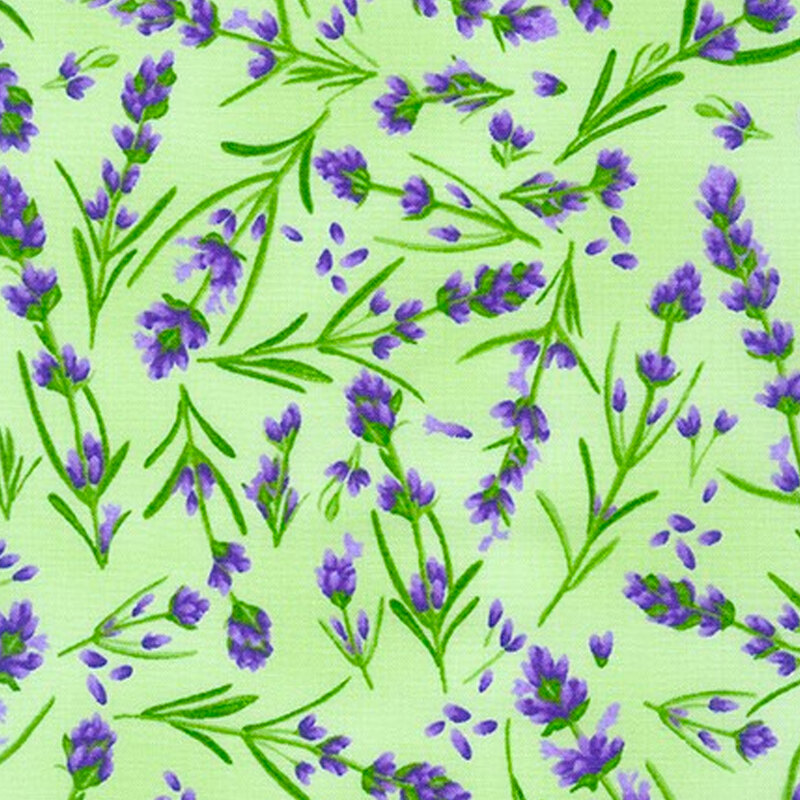Lavender flowers tossed on a light green background