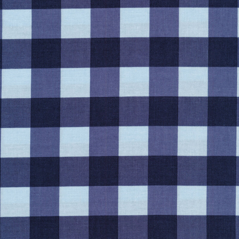 Light blue and navy plaid fabric