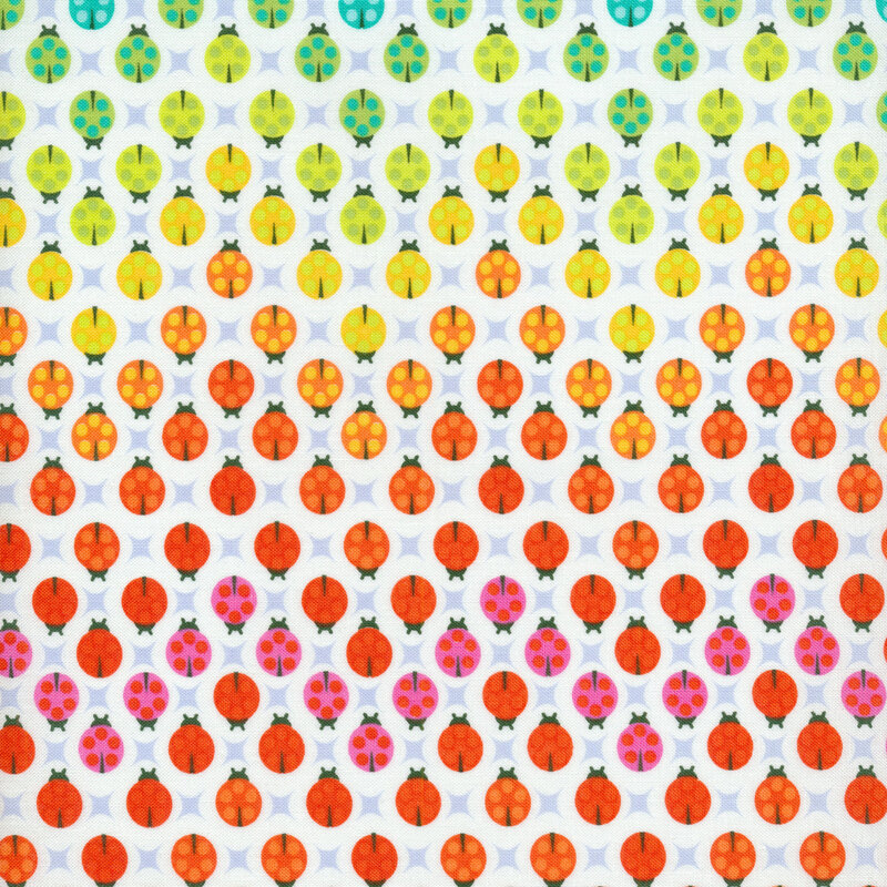 Red, orange, yellow, and green ladybugs on a white background