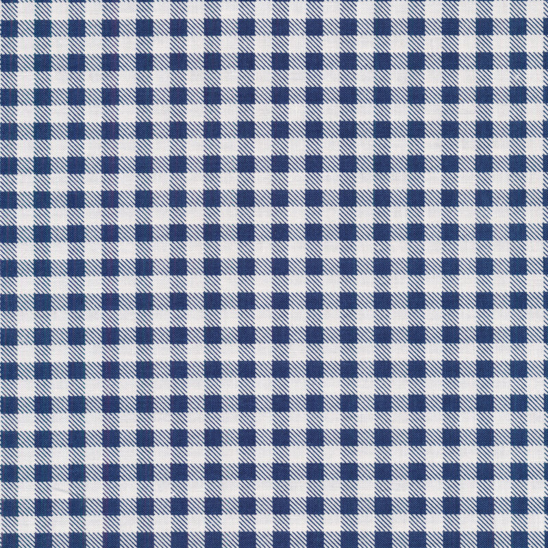Fabric of a blue gingham print