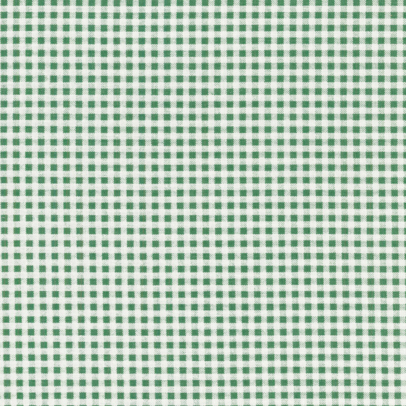 Fabric of a small seafoam green gingham print