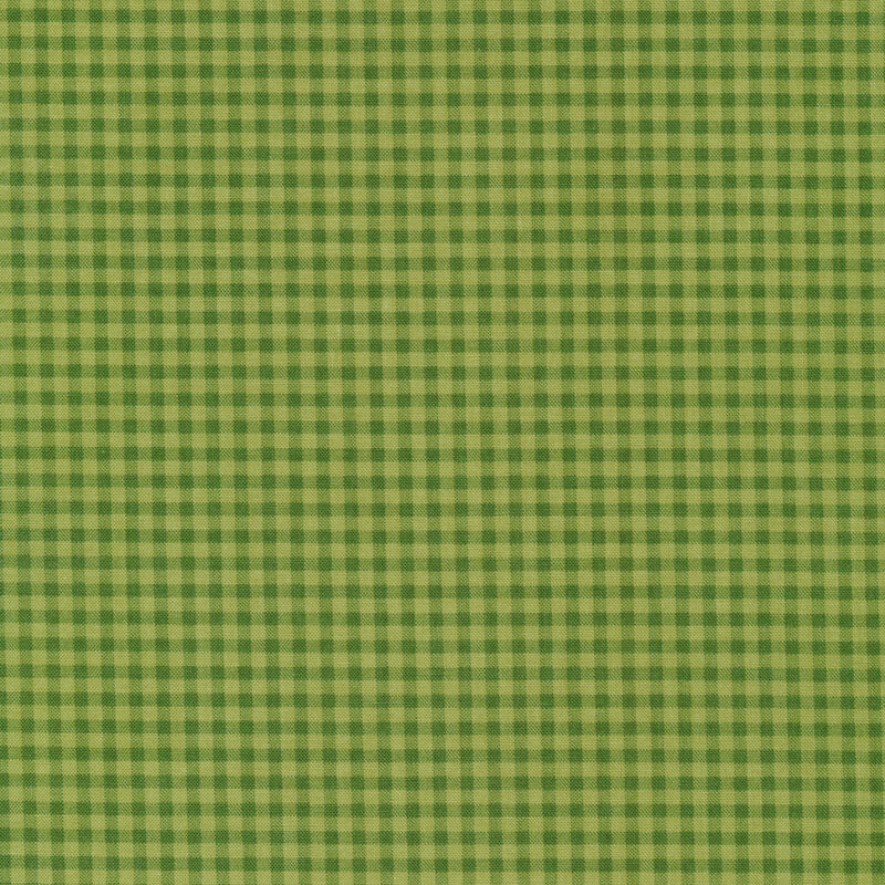 Fabric of a tonal gingham on a green background