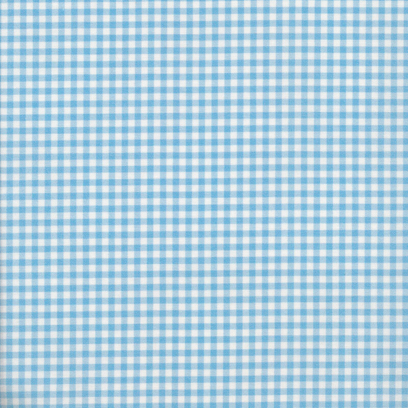 Fabric of a blue gingham print